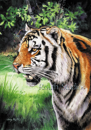 Craig Routh, Artist & Illustrator - "Tiger Portrait II"