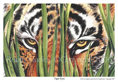 Craig Routh, Artist & Illustrator Louisiana State University, LSU Paintings - Craig Routh, Artist & Illustrator Louisiana State University, LSU Painting Gallery - "Tiger Eyes" by Craig Routh