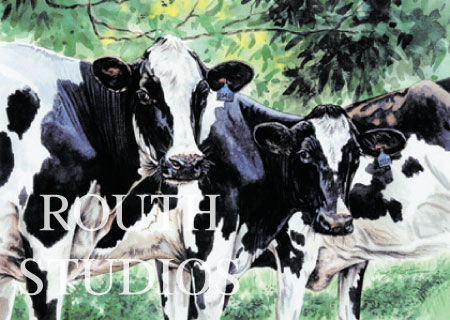 Craig Routh, Artist & Illustrator - "Holsteins"