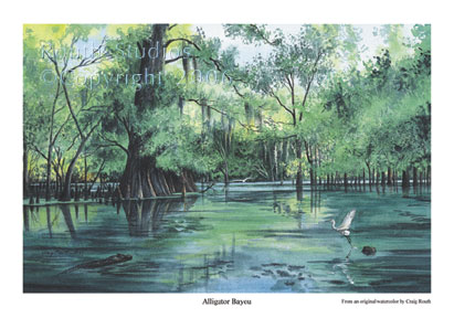 Craig Routh, Artist & Illustrator Scenic watercolor gallery - "Alligator Bayou"