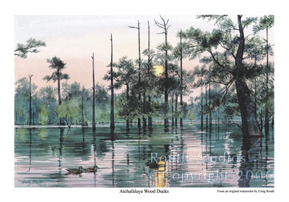 Craig Routh, Artist & Illustrator Scenic watercolor gallery - "Atchafalaya Wood Ducks"