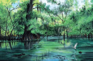 Alligator Bayou Swamp Scene