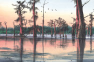 Louisiana swamp fihserman paradise