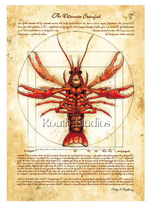 Craig Routh, Artist & Illustrator - The Vitruvian Crawfish"