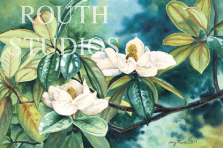 Craig Routh, Artist & Illustrator - "Magnolias"