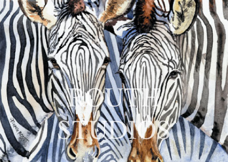 Craig Routh, Artist & Illustrator - "Zebras"