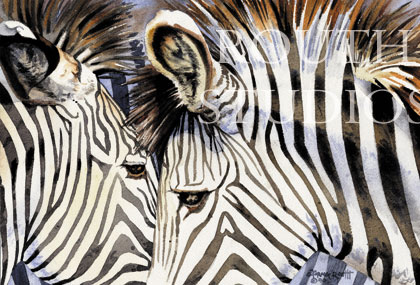 Craig Routh, Artist & Illustrator - "Zebras, What are you in for?"
