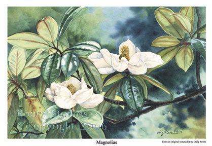 Craig Routh, Artist & Illustrator Scenic watercolor gallery - "Magnolia"